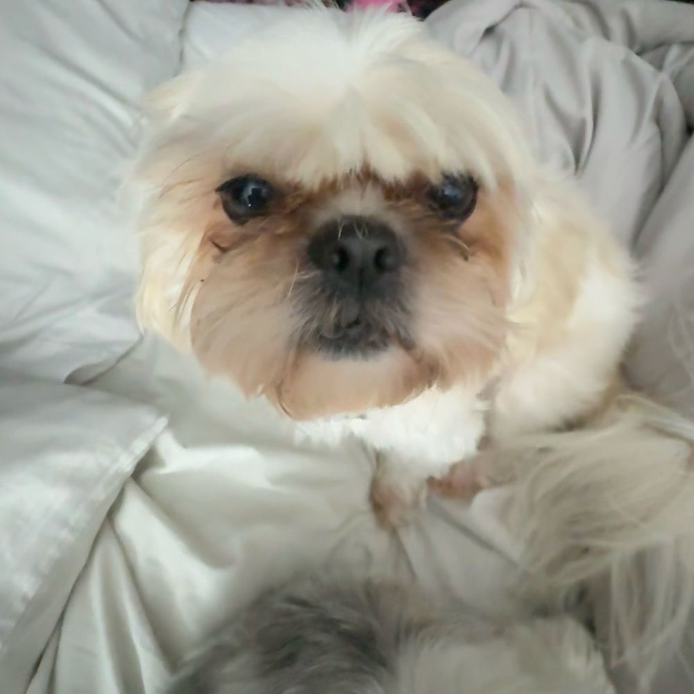 Meet your Posher, Elle